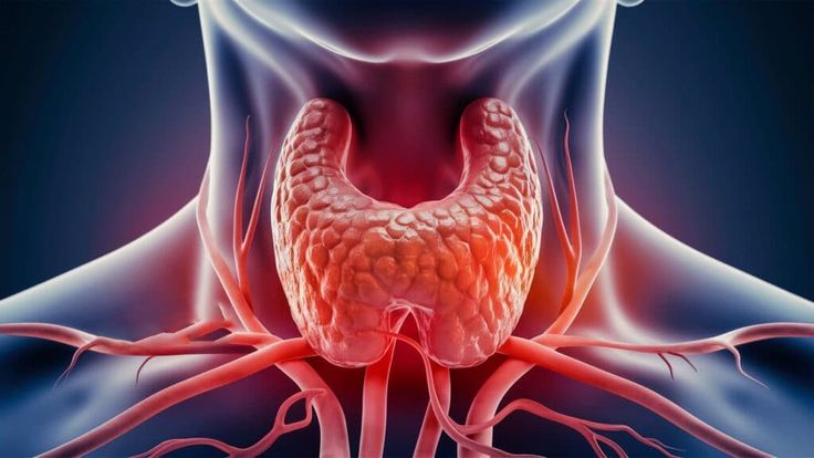 Struggling With Thyroid Issues? These Foods Can Help